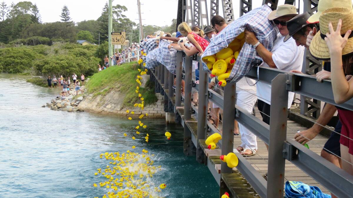 One thousand ducks dive off Narooma Bridge at the start of the 2019 Rotary Australia Day Duck Race - some were reluctant to get wet.