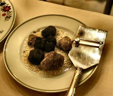 One night of truffle hunting
