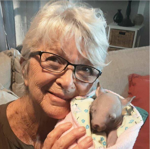 WIRES: Nalda Paterson of Kianga with Neddie the wombat joey after his mother was killed in the January bushfires.
