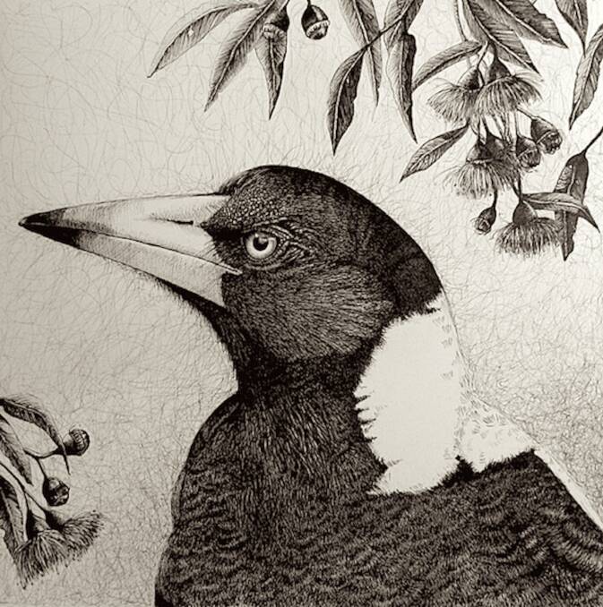 A collection of delightful pen & ink drawings by local Quaama Artist