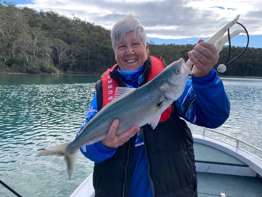 MBG&LAC member, Judith Grills with a lovely catch and release Australian Salmon caught in a local river.