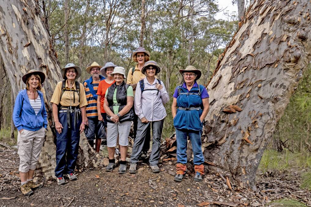 Bushwalkers return: (from left) Nadienne Holt, Jan Thomas, Colin Lines, Lyn Fraser, Cindy Chipchase, Maggie Finch, Anita Porter, Margaret Moran with Michael McDonagh (taking the picture).