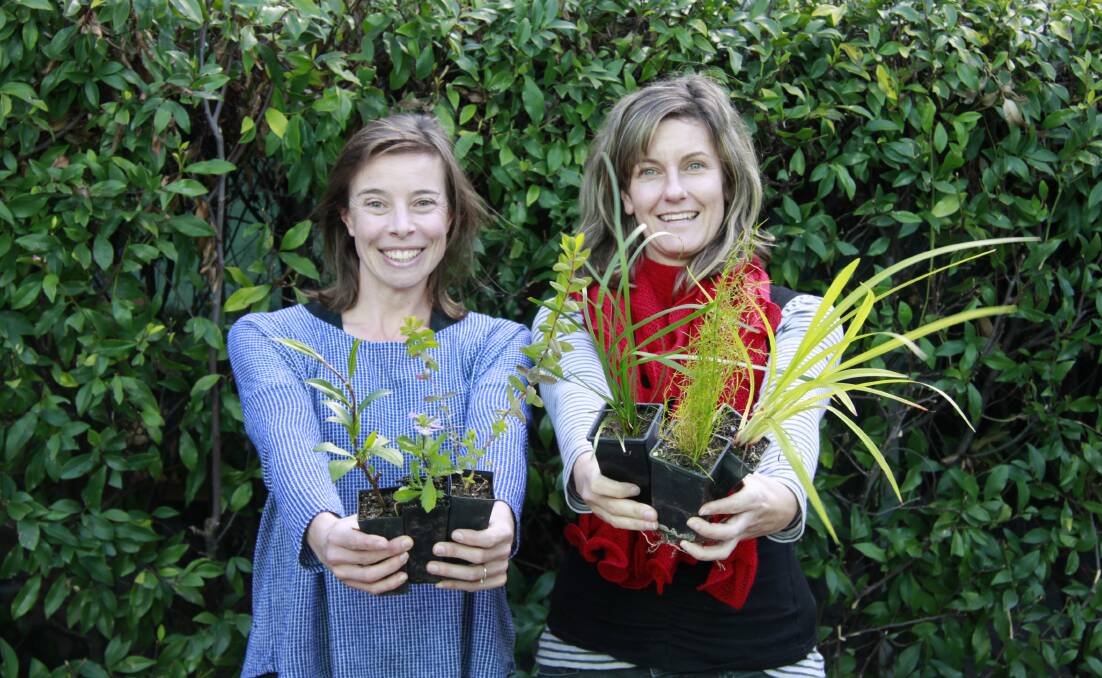 Weed busters: Landcare Co-ordinator Emma Patyus and Natural Resource Supervisor Heidi Thomson encourage the Narooma community to take advantage of Council’s free plant swap this Sunday at Narooma Markets. 