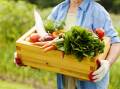 Growing food is fashionable again. Picture: Shutterstock