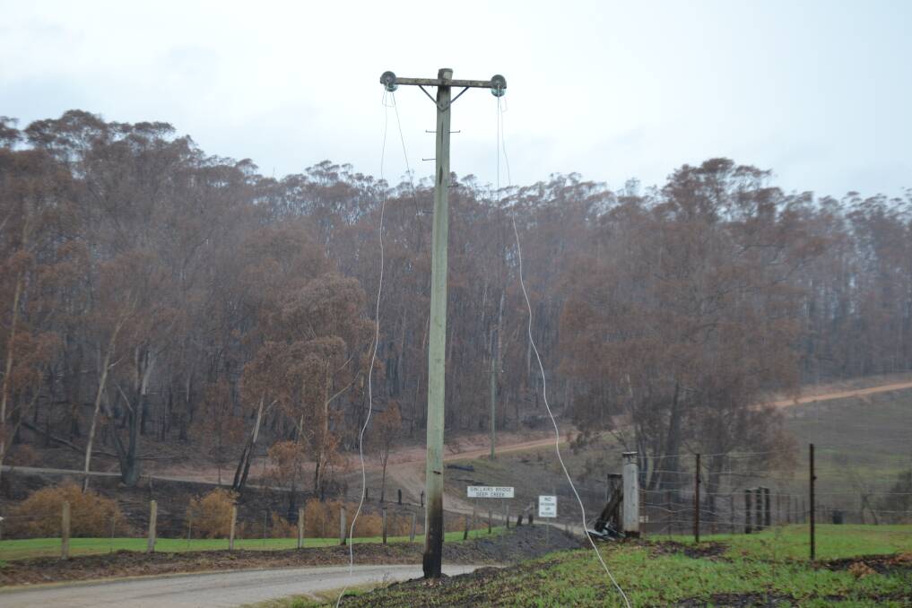 Powerlines down at Nerrigundah on Friday, January 17. Image: Andrea Cantle