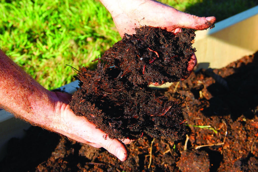 Worms are quiet and hardworking pets that can transform kitchen and garden scraps into nutrient-rich fertiliser. The Eurobodalla Shire Council is hosting its popular worm farming and composting workshops this November and theyre free.