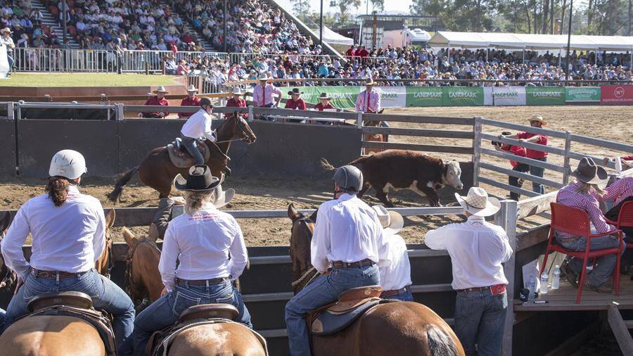 Grab your tickets to the World Championship Gold Buckle Campdraft at Willinga Park now. 