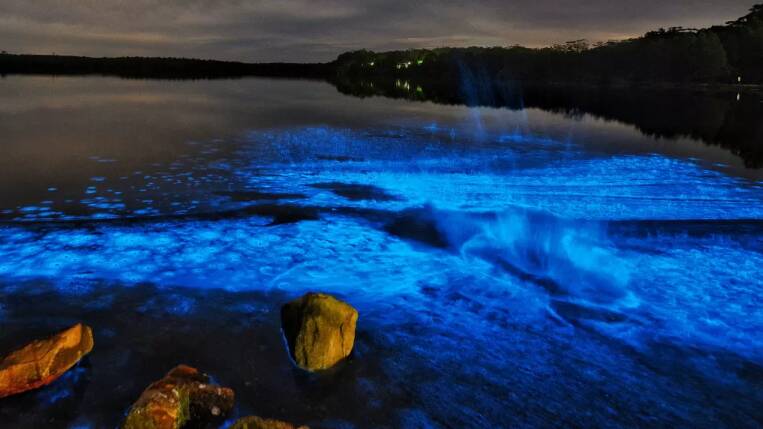 Algal bioluminescence at St Georges Basin, near Jervis Bay. Photo: Michael Samson