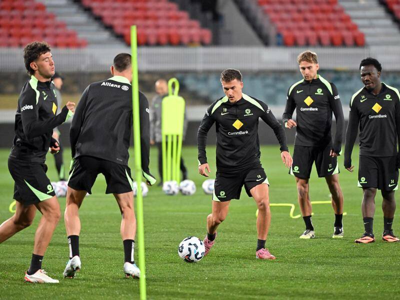 Australia have avoided some of soccer's strongest nations ahead of the World Cup draw. Photo: Mick Tsiak/AAP PHOTOS