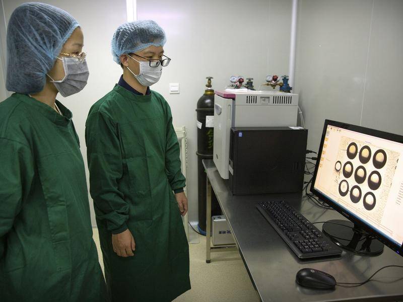 China has ordered a halt to work by a medical team that claims the world's first gene-edited babies.