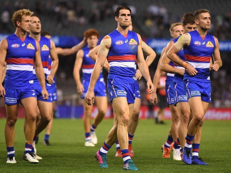 Dogs must bite back against Tigers in AFL | Narooma News ...