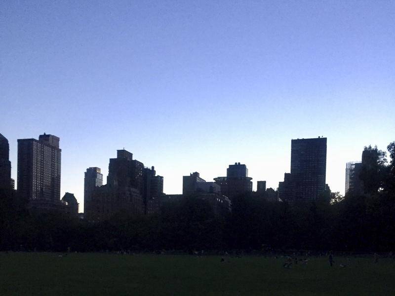 A wide swathe of New York's Manhattan borough was plunged into darkness by a power outage.