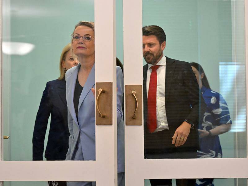 Opposition Leader Sussan Ley has already expressed some concern with the proposed reforms. Photo: Mick Tsikas/AAP PHOTOS