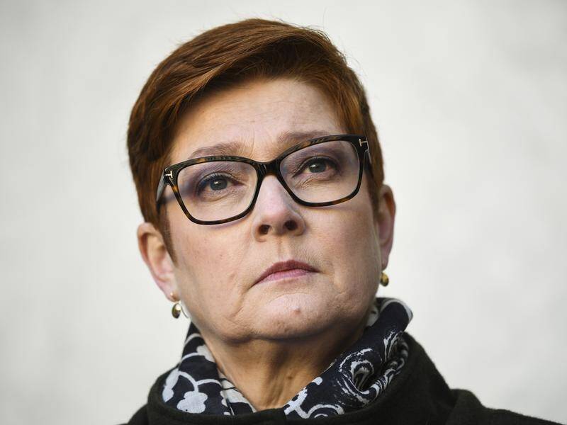 Marise Payne has apologised after the personal details of Australians stranded overseas was exposed.