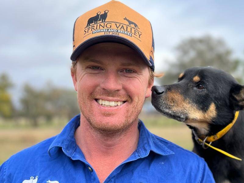 Nothing can tame Turbo's finely-tuned instincts for herding livestock, farmer Daniel Pumpa says. (PR HANDOUT IMAGE PHOTO) Nothing can tame Turbo's finely-tuned instincts for herding livestock, farmer Daniel Pumpa says. (PR HANDOUT IMAGE PHOTO)