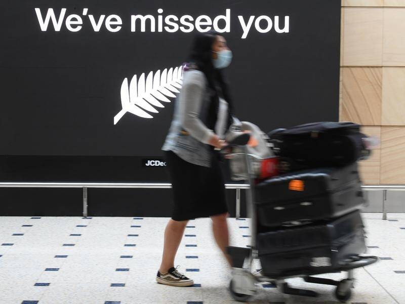 New Zealand's migration patterns were disrupted during the pandemic, but numbers are now surging. (Dean Lewins/AAP PHOTOS)