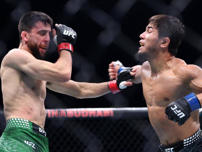 UFC flyweight Steve Erceg has suffered a crushing first-round defeat in the UAE. Photo: EPA PHOTO UFC flyweight Steve Erceg has suffered a crushing first-round defeat in the UAE. Photo: EPA PHOTO