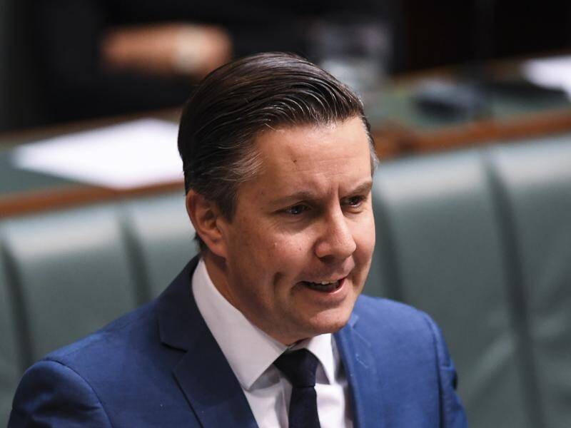 Labor's Mark Butler says the federal government needs to return to the NEG policy.