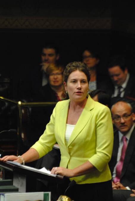 Blue Mountains MP Trish Doyle in NSW Parliament. File picture