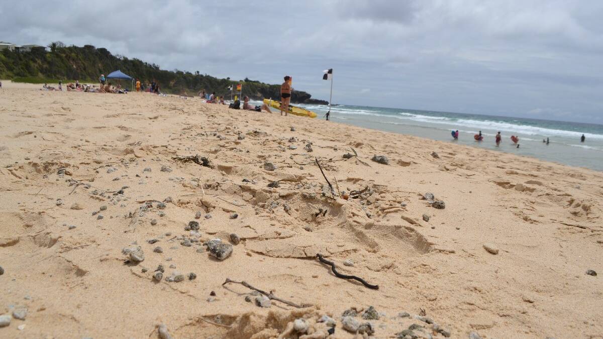 PUMICE SLICK: Slicks of pumice can be found up and down Far South Coast beaches including here at Narooma surf beach. 