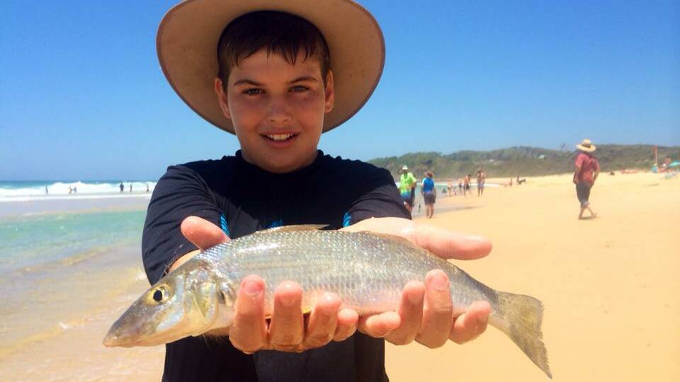 Alll the top catches out of Narooma and Bermagui