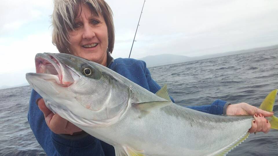 NEIL’S WIFE: Neil's wife from Melbourne went fishing with Charter Fish Narooma getting into the kings on Monday. The boat bagged out by 8.30am. If you are Neil's wife, sorry they guys didn't get your name - let us know what it is and ps great fish!
