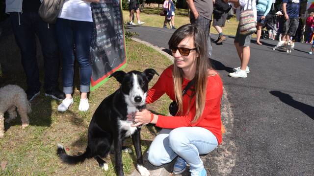 DIGGER DOG: Alicia Cordia and Digger Dog from River Cottage Australia at the Tilba Festival on Easter Saturday.