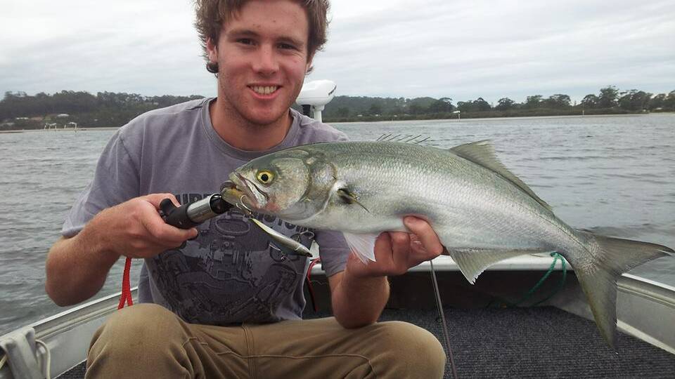 ALEX TAILOR: Alex Krantz got out in the muddy water in Wagonga Inlet getting a few descent fish, including this nice tailor. 