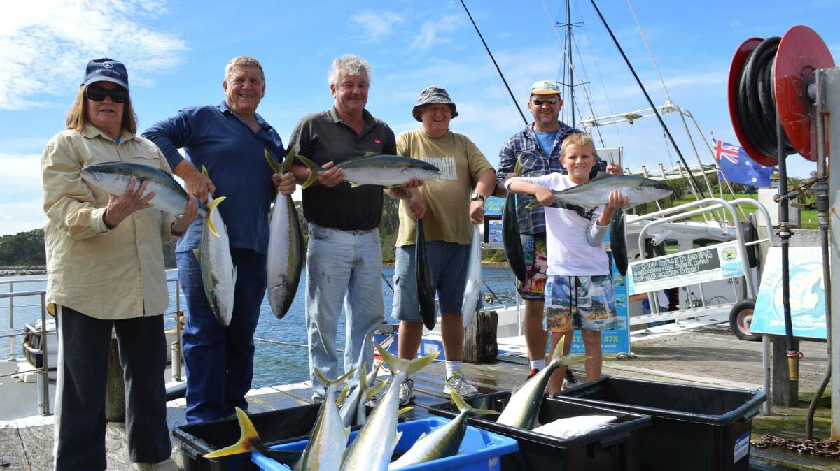 LIGHTHOUSE KINGS: Lighthouse Charters on Tuesday experienced the great run of kingfish currently on at  Montague Island off Narooma.