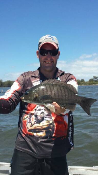 THE AUTHOR: The Narooma Ocean Hut Compleat Angler weekend fishing report is brought to you by Darren "Dash" Bowater here with a decent luderick.