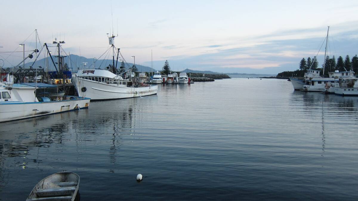BERMAGUI HARBOUR: Commercial fishing boats at Bermagui Harbour. Have your say on the commercial fisheries review...