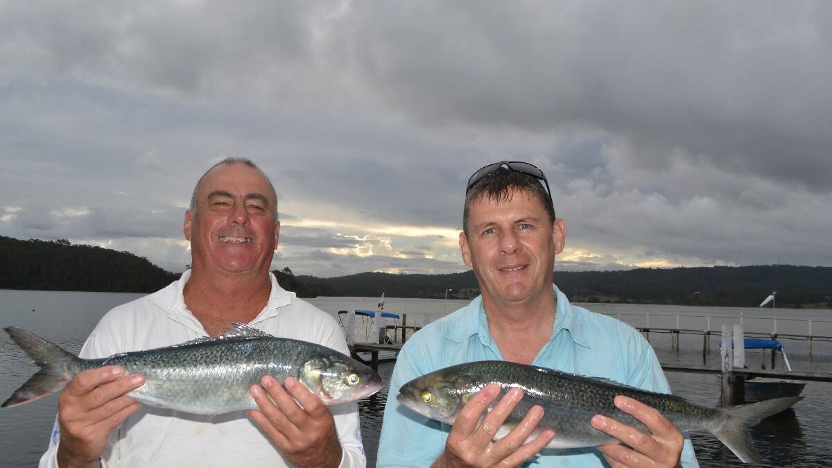 SALMON BOYS: Paul Cooper from South Sydney and James Knight from the Burwood RSL fishing club with the salmon they caught off the Mystery Bay rocks.
 