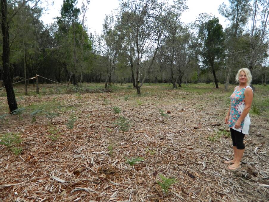 CLEARING CONCERN: Long-term Potato Point resident Maree Alexander surveying the extent of clearing of national park near her home. 