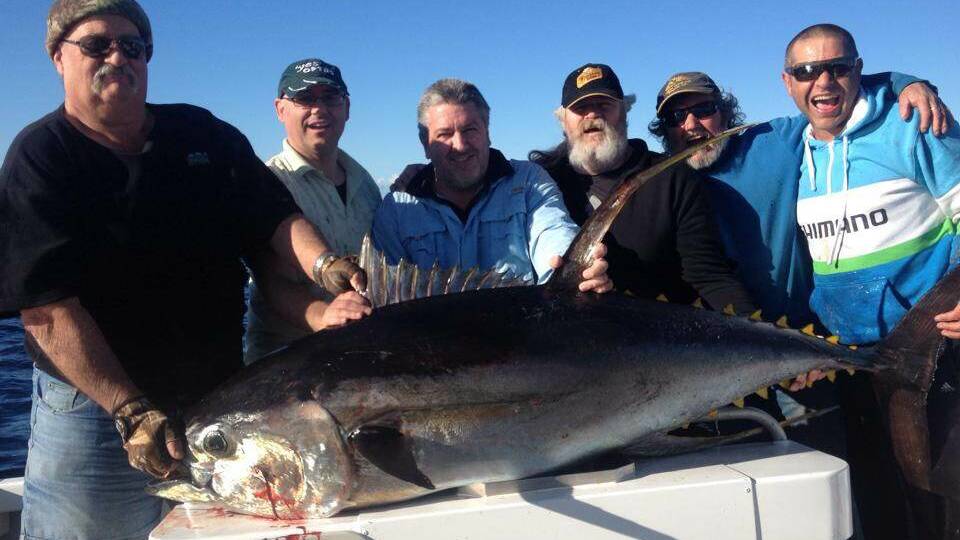 Pics of the massive 98kg yellowfin tuna caught at Narooma