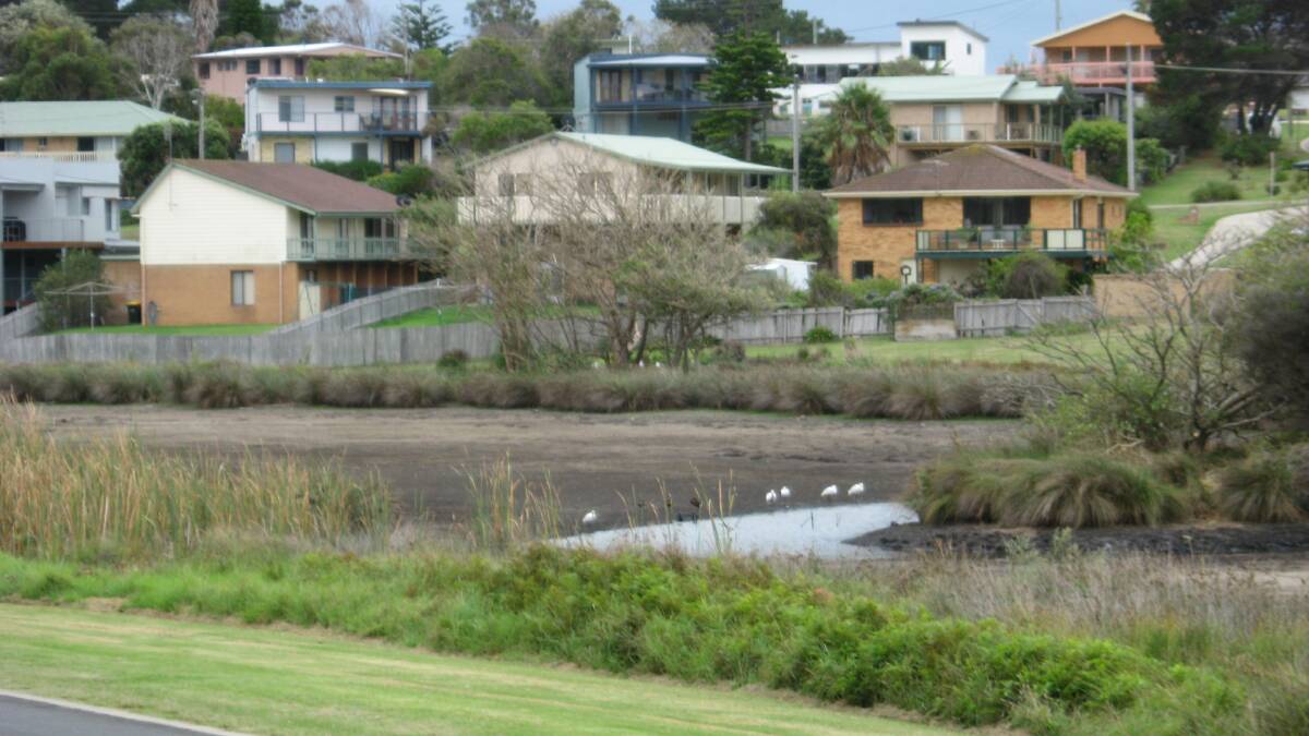 BONE DRY: A neighbouring resident took this photo of the Dalmeny duck pond almost completely dry the day after the rain started falling last week.
 
