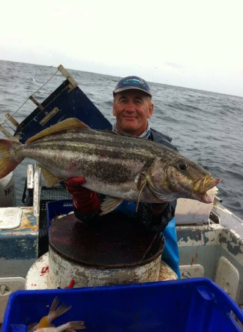 TASSIE TRUMPETER: This nice Tassie trumpeter caught in a fish trap east of Montague last week. 