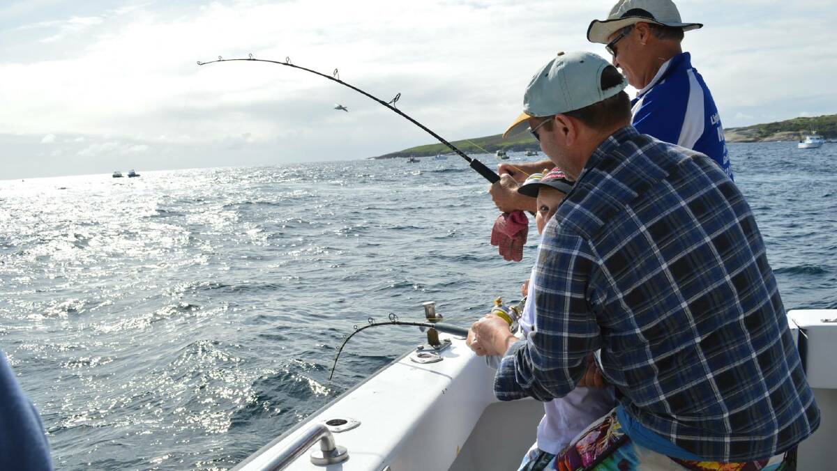 KING: ACTION:  Clients on Lighthouse Charters on Tuesday experiencing the great run of kingfish currently on at Montague Island off Narooma.