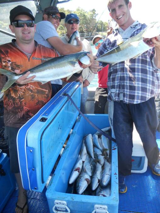 
MONDAY KINGS: The crew from Young NSW with their bag limit of kingfish taken with Narooma Fishing Charters on Monday.
 