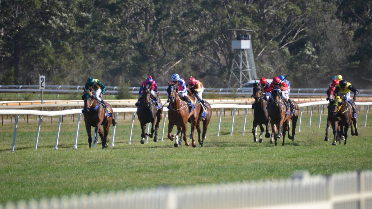 Narooma Cup set to light up the track