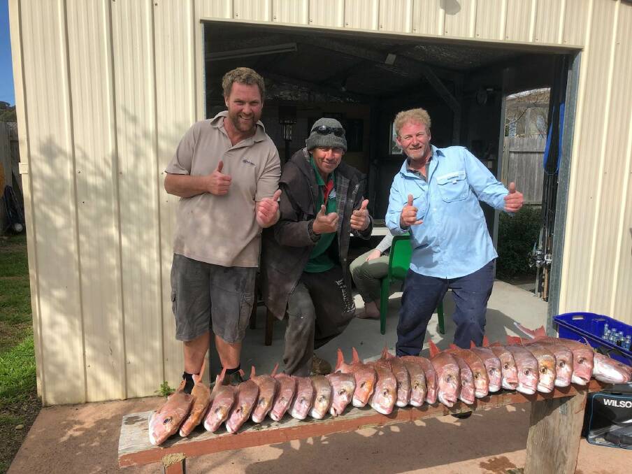 GOOD HAUL: These three keen fishermen headed to the reefs off Tuross Head and picked up a whopping 24 snapper. Photo: Narooma Fishing Charters - John Moore.
