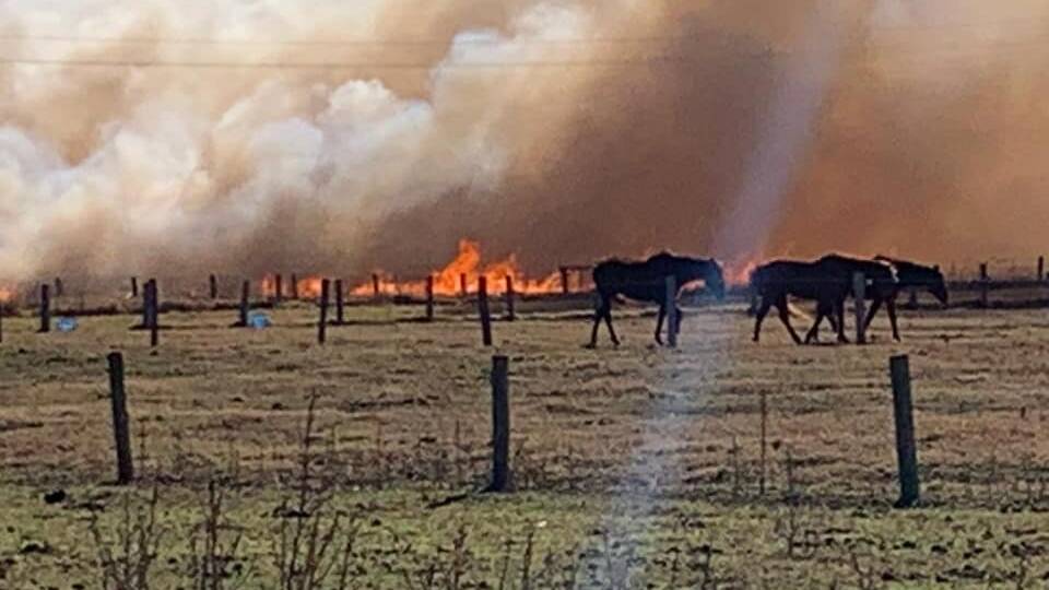 The grassfire that burned north of Moruya on Saturday, July 13. Photo: Fire and Rescue NSW Station 384 Moruya.