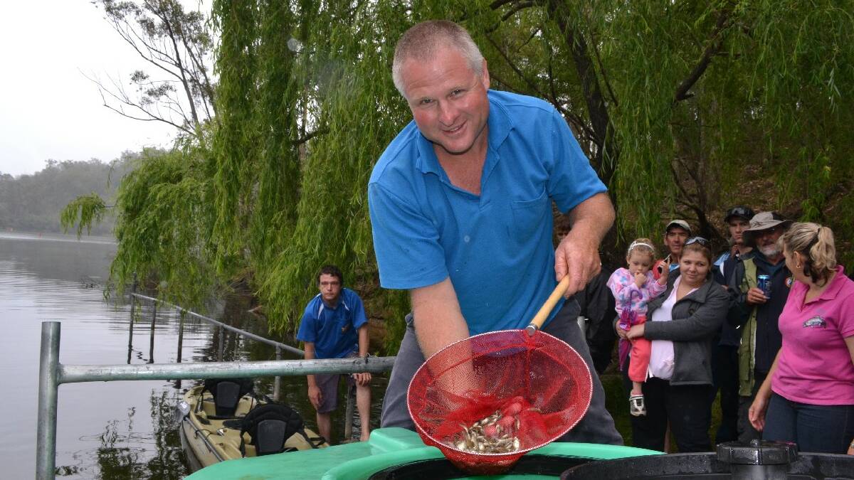 BASS RELEASE: Narooma fish grower Bruce Lawson releases 10,000 bass into Brogo Dam during the Far South Coast Bass Stocking Association’s Brogo Bass Bash on the weekend. 