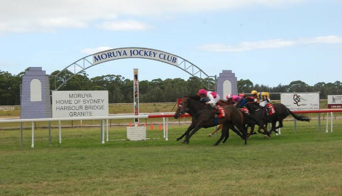 CUP FINISH: Five-year-old gelding Full Hand storms home on the outside to win the Narooma Cup with Nick Souquet on board. 