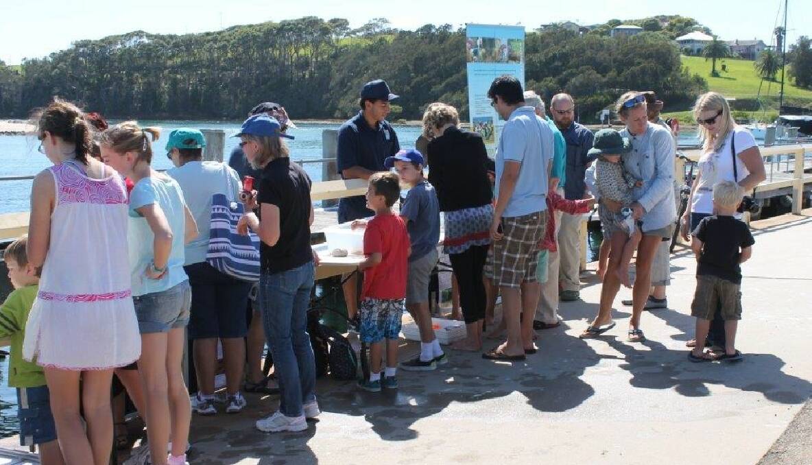 Part of the crowd that enjoyed the ‘What’s Under the Wharf’ displays. Photo by Rosy Williams