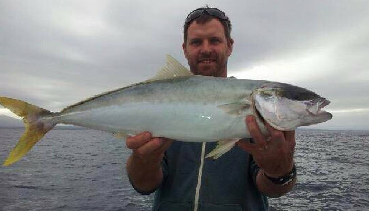 CHARTER KING: Justin from Sydney and his kingie caught on Playstation today. Skipper Nick Cowley reports lots of undersize kingfish but they got this nice legal and also mowies in deep water.  