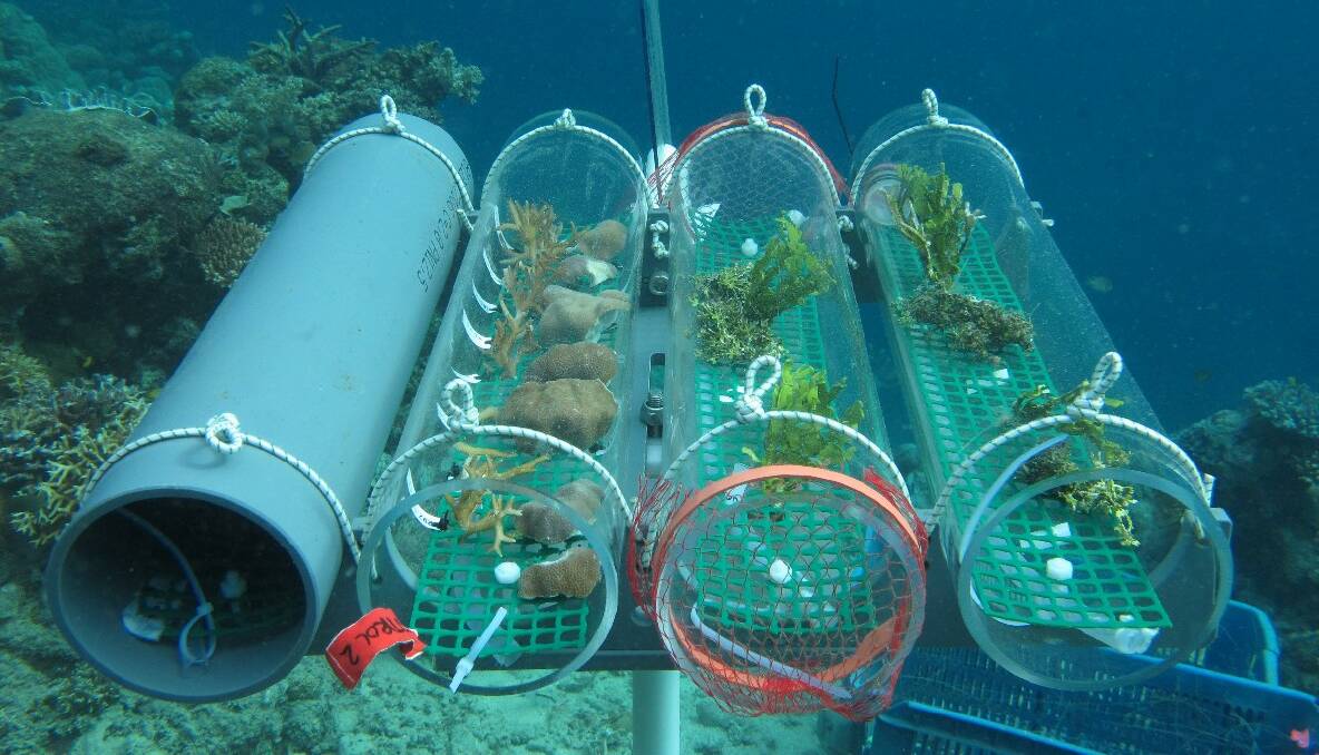OCEAN RESEARCH: Some of the underwater equipment used to study ocean acidification at the bubble sites of PNG. Photo by Sam Noonan 