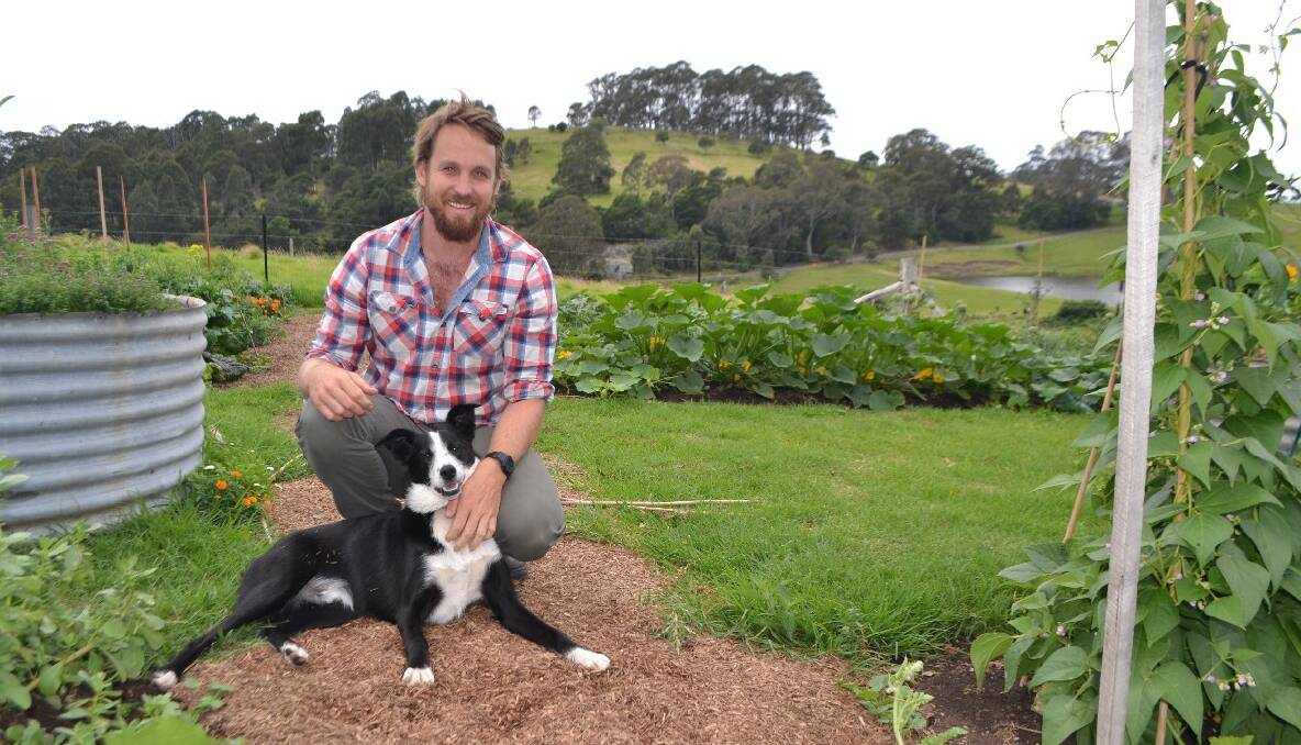 VEGGIE PATCH: River Cottage Australia host Paul West and Digger dog in the veggie patch on the farm at Central Tilba that soaked up the drop of rain this week.