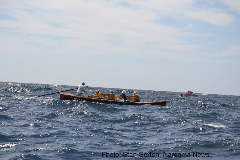 Bulli rows hard off Bermagui. Photo: Stan Gorton, Narooma News