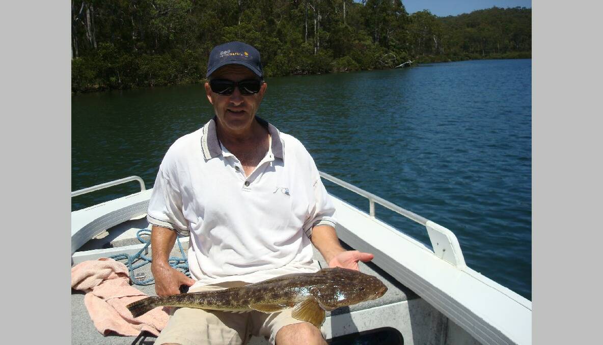 BERMI FLATHEAD: John Moore of Shepparton, Vic caught this big flathead on the Bermagui River on live bait. Catch and release as all should do with fish of this size, he says. We have been coming to Bermi for many years and love the South Coast. 