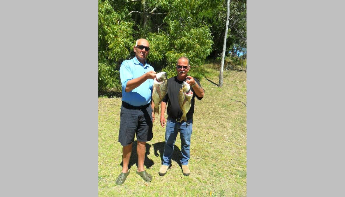 BREAM BOYS: Max Favelle and Mick Kavic with a pair of nice bream. 